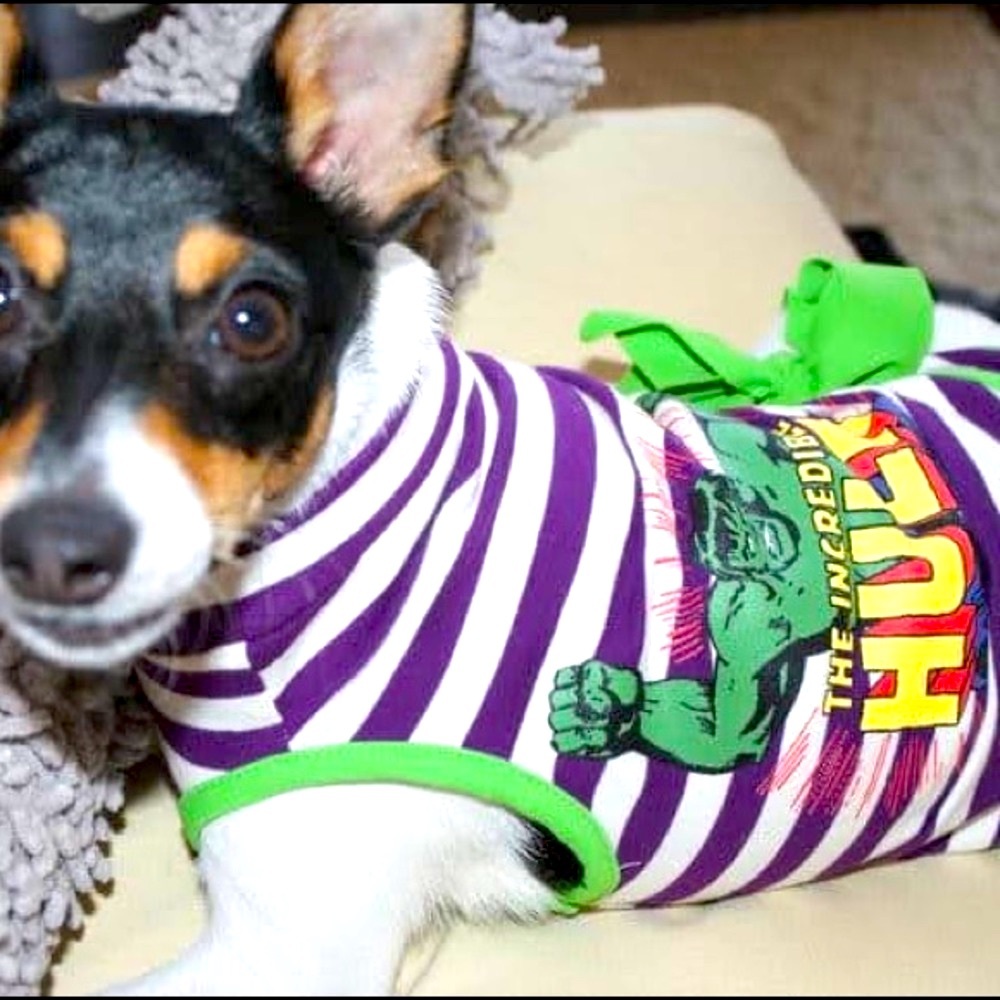 Dress Superhero Hulk